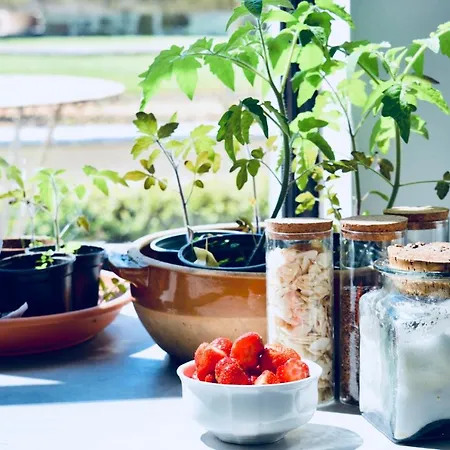 Проживание в семье Le Relais Du Moustier