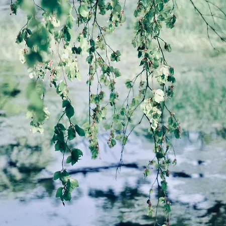 Le Relais Du Moustier *