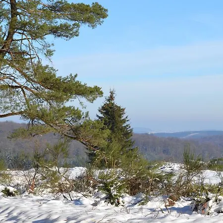 ホームステイ Le Relais Du Moustier *