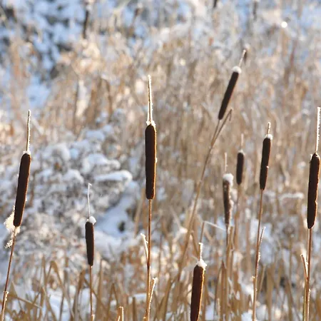 Le Relais Du Moustier Alloggio in famiglia Grune